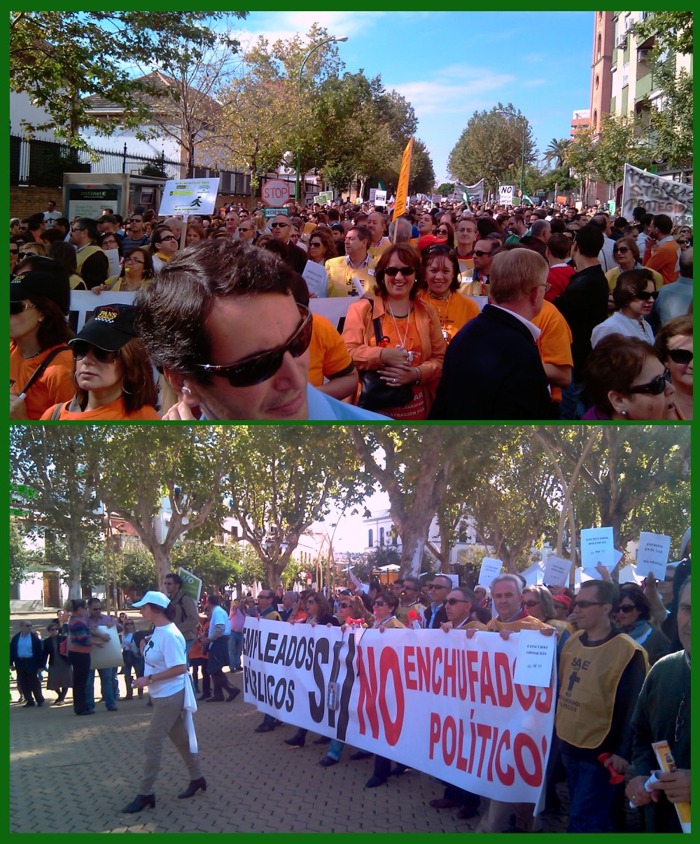 imagen manifestacion 13n